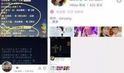 娜美仙家爆料视频大全,揭秘幕后真相与精彩瞬间